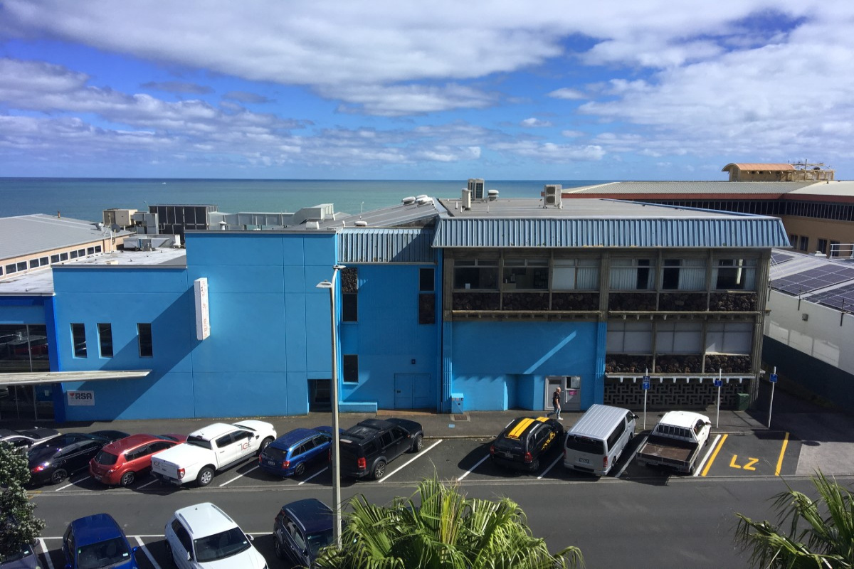 Level 3, 54 Gill Street, New Plymouth, ,Office,For Lease,Gill,1515